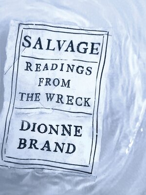 Salvage - ebook